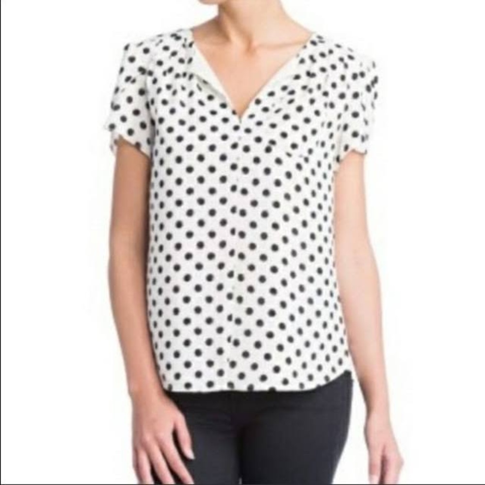 41 Hawthorn Polka Dot Carol Tulip Blouse